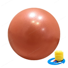 55cm 65cm 75cm PVC Custom Exercise Gym Yoga Ball With Air Pump