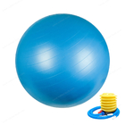 55cm 65cm 75cm PVC Custom Exercise Gym Yoga Ball With Air Pump