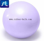 Home Pilate Fitness 55cm Stability Balance Ball with Inflation Pump