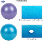 Gym phthalate free PVC Back Muscle Relax Ball Pump 65cm 95cm Anti Burst