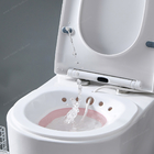 CE Test Toliet clean Vagina portable v steam seat bath women yoni steam seat
