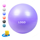 Anti Burst Pvc 55cm 21.7 inch  Exercise Yoga Ball With hand Pump or foot pump