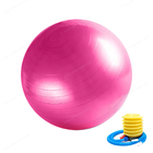 Anti Burst Soft PVC 45 55 65 75cm Gym Yoga Ball Exercise Equipment Gym Ball